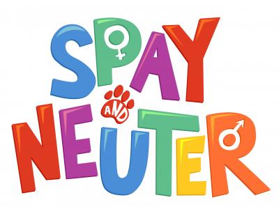 Spay and Neuter 