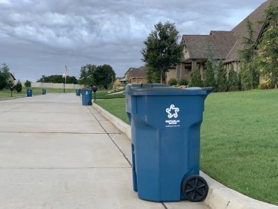 Recycling Cart at the Curb