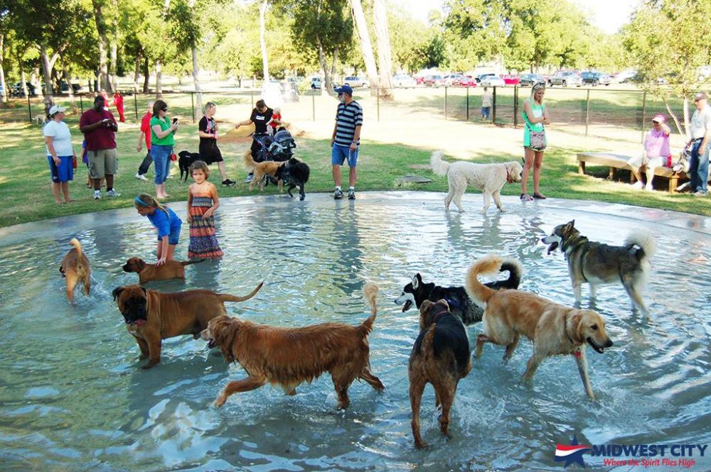 City clearance dog park